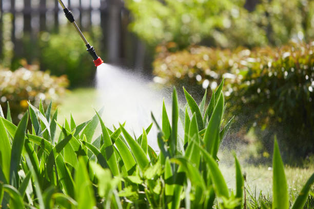 24/7 Emergency Mosquito Control experts in Naples, UT