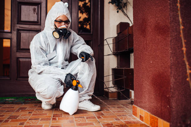 Reliable Mosquito Control contractor in Naples, UT by Show Me Pest Control