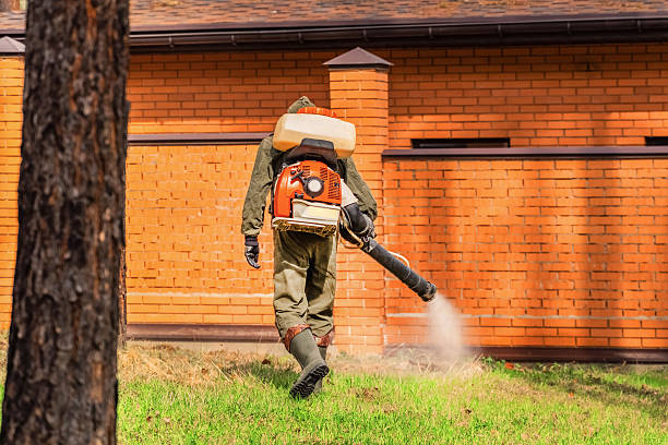 Top rated local Mosquito Control specialists in Naples, UT